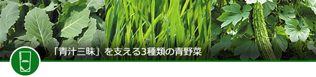 青汁三昧ができるまで