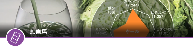 動画集
